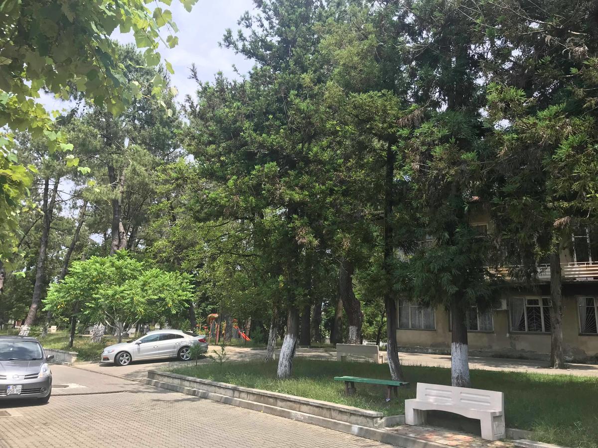 Anna Hostel Kobuleti Exterior photo